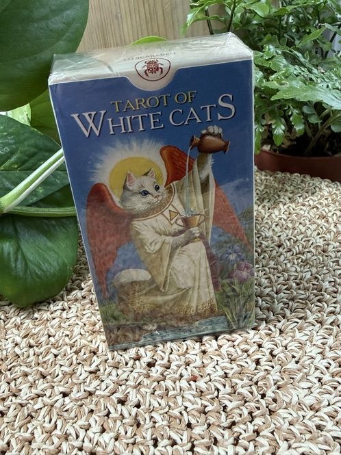 Hovedbilde Tarot of White Cats