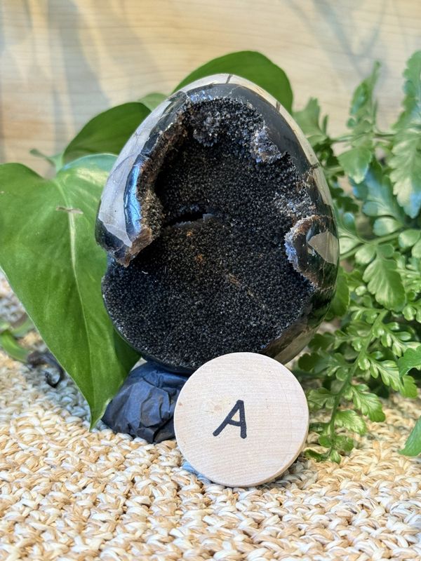Septarian egg 8,5 cm