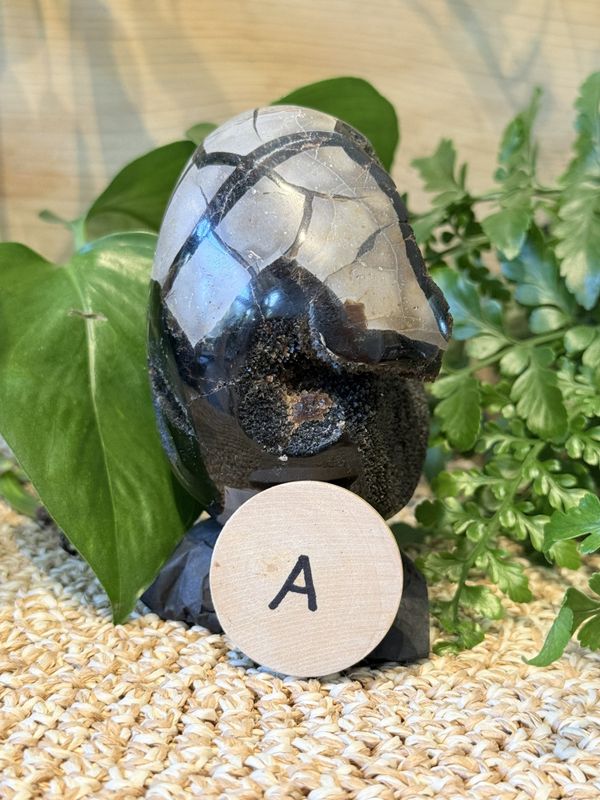 Septarian egg 8,5 cm