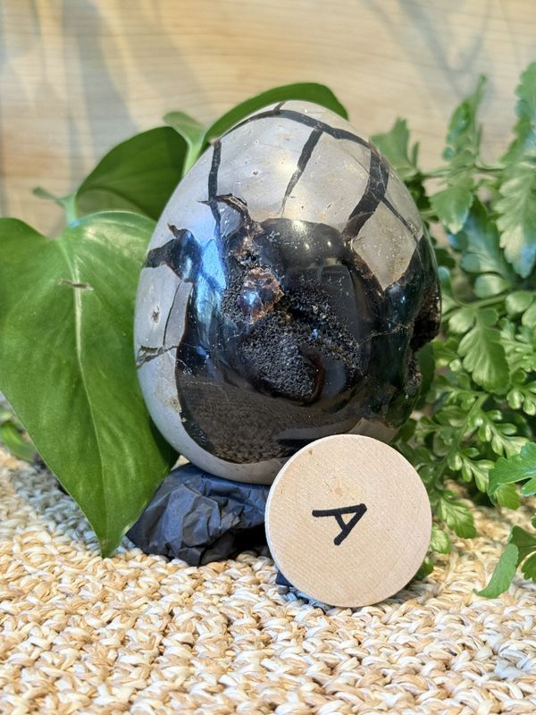 Septarian egg 8,5 cm