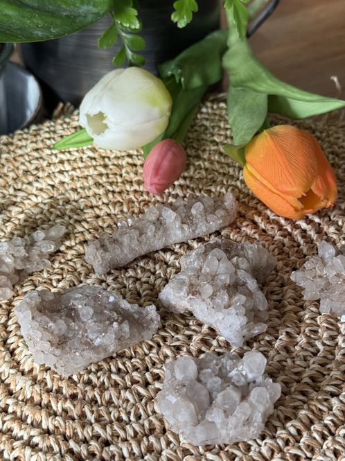 Hovedbilde Norsk mini gruppe 